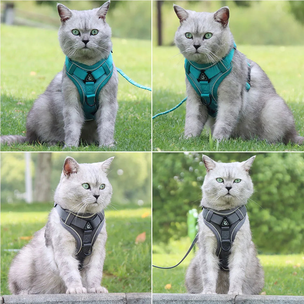BullyFit Reflective Harness Set