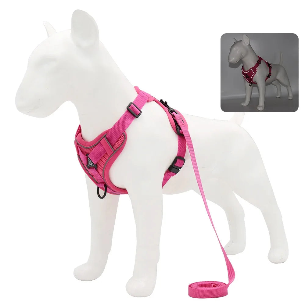 BullyFit Reflective Harness Set