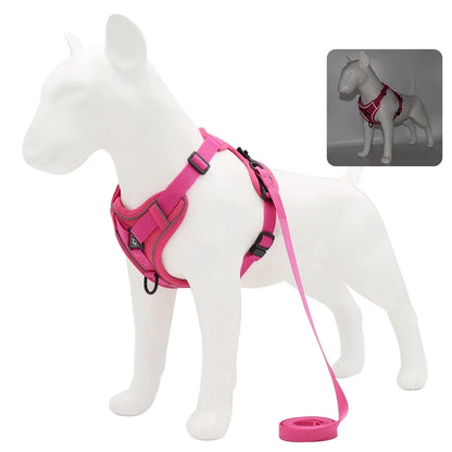 BullyFit Reflective Harness Set