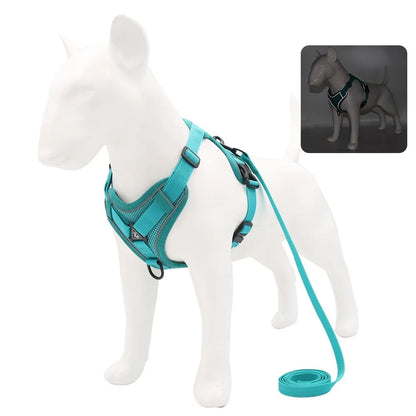BullyFit Reflective Harness Set