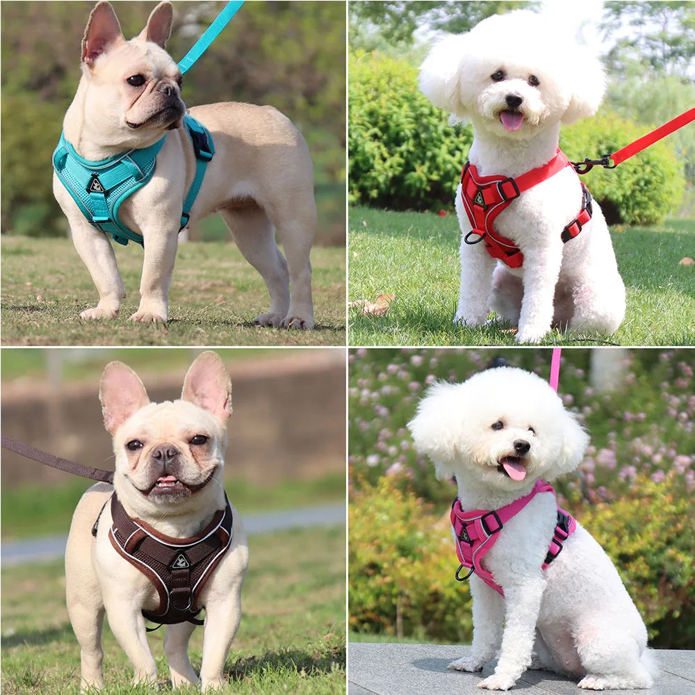 BullyFit Reflective Harness Set