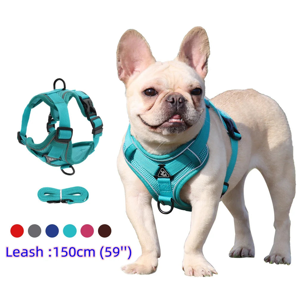 BullyFit Reflective Harness Set