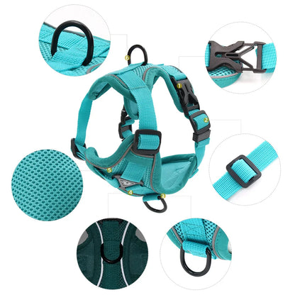 BullyFit Reflective Harness Set
