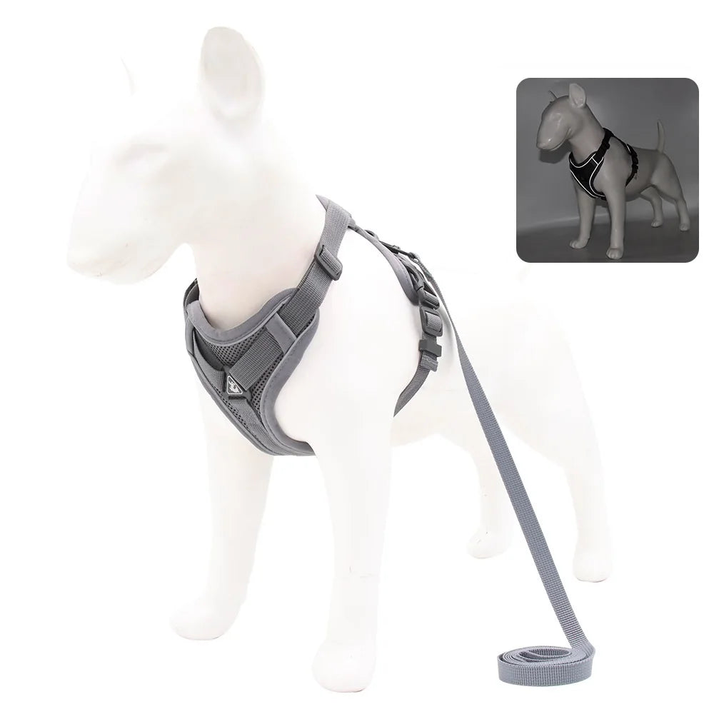 BullyFit Reflective Harness Set