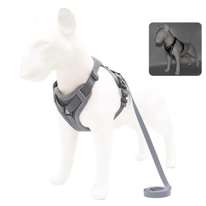BullyFit Reflective Harness Set