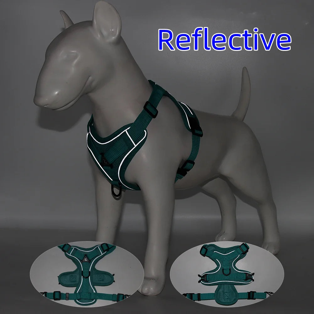 BullyFit Reflective Harness Set