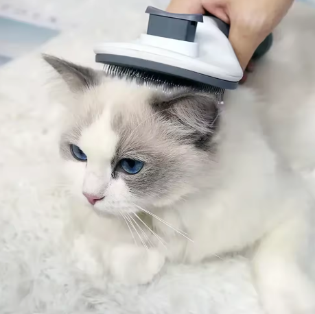EasyGroom Self-Cleaning Pet Brush