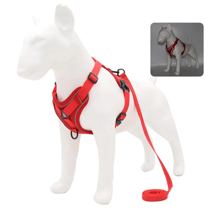 BullyFit Reflective Harness Set