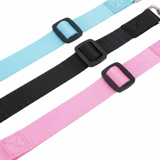 SecureRide buckle