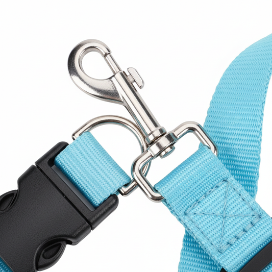 SecureRide carabiner